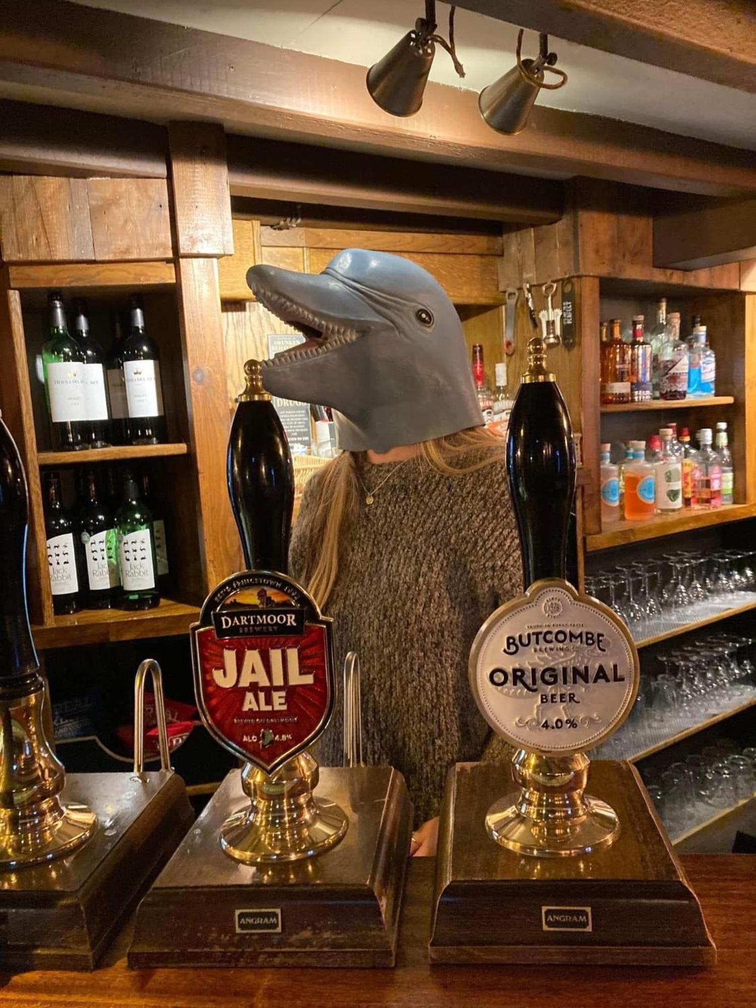 The Dolphin Inn キングスブリッジ 部屋 写真